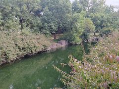 -上海滨江森林公园