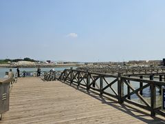 -日照灯塔风景区