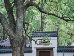 -西湖风景区十里琅珰-五云山