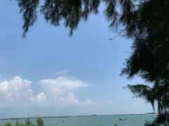 -北海金海湾红树林生态旅游区