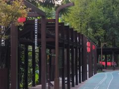 -重庆彩云湖湿地公园