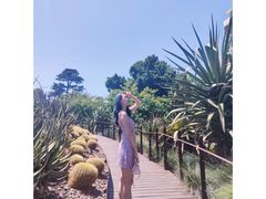 -墨尔本皇家植物园