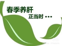 -香薇妮丝女子减肥院