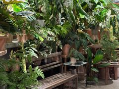 -自由生长植物工作室(深港花卉中心店)