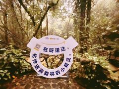 -呀诺达热带雨林