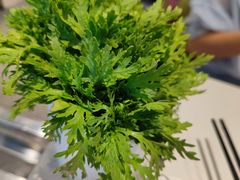 -古乐牛香鲜牛肉牛杂火锅(观前街店)