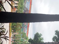 -呀诺达热带雨林
