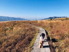 -山王坪喀斯特国家生态公园