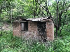 -阳台山自然风景区