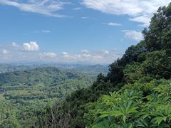 -深圳仙湖植物园