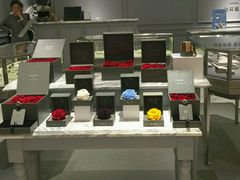 -ROSEONLY诺誓(青岛万象城店)