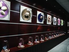 -青岛贝壳博物馆