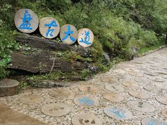 -十渡东湖港风景区