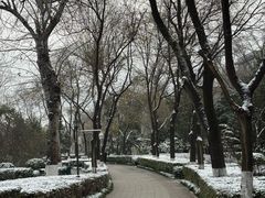 -莲湖公园
