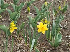 -国家植物园南园