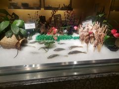 -芭菲盛宴·环球美食(锦城万达广场店)