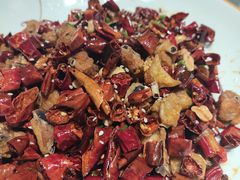 歌山辣子鸡-雲蜀龙阁·金牌水煮鱼(方庄店)