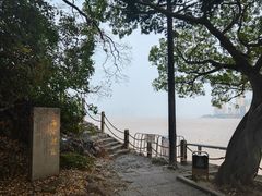 -江心屿景区