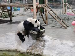 -栾川竹海野生动物园