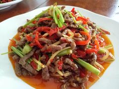 -狼诱惑(泰山大街店)