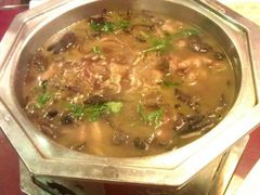 榛蘑炖散养鸡-向阳屯食村