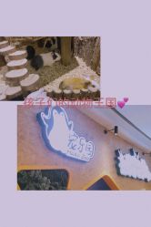 -七巧国萌宠乐园(龙湖天街店)