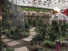 植物园-凯德广场(学府店)