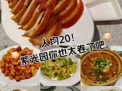 -紫光园·烤鸭(京旺家园店)