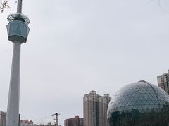 -陕西自然博物馆