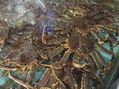 -渔民新村(番禺总店)