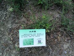 -昆山城市生态森林公园