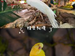 -正佳雨林生态植物园