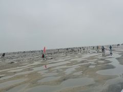 -北海金海湾红树林生态旅游区