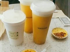 -森茶(湛江万达店)