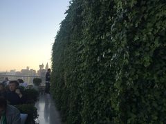 景观位-顶层酒吧ROOF(上海艾迪逊酒店)