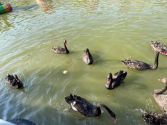 -新疆天山野生动物园