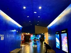 -百丽宫影城(IMAX万象城店)