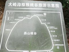-大岭沟猕猴桃谷风景区
