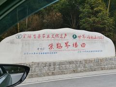 -紫鹊界梯田景区