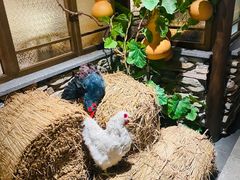 -洞庭土菜馆(天河北总店)