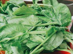 生菜-大理.老字号渝记酸萝卜乌鱼(古城总店)