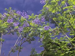 -成都中医药大学(温江校区)