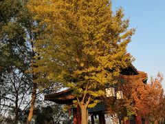 -阅江楼风景区