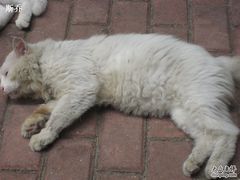 -娜娜度假小旅馆