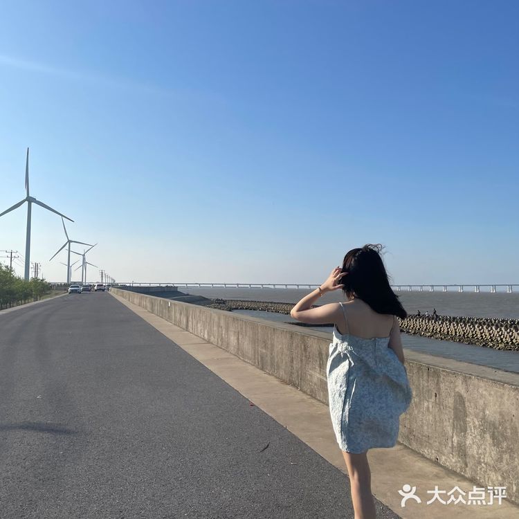 上海拍照 🛻 长兴岛丁坝《悲伤逆流成河》取景地