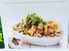 -油梨树 AVOCADO TREE(亮马桥店)