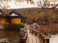 -渤公岛生态公园