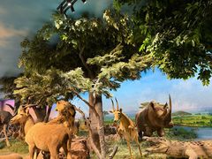 -国家自然博物馆