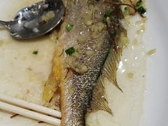-叶氏大快活酒楼·佛山老字号