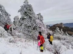 -秦岭风景区